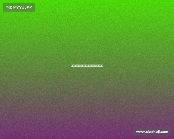 足球球员续约合同签订全过程及关键环节解析报告